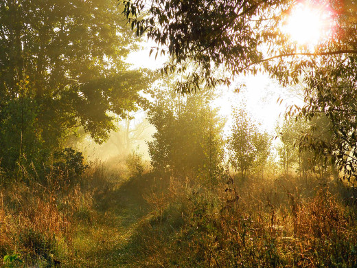 37681 (a): :1600x1200